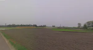 Katariya, Gujarat 363421, India preview 3