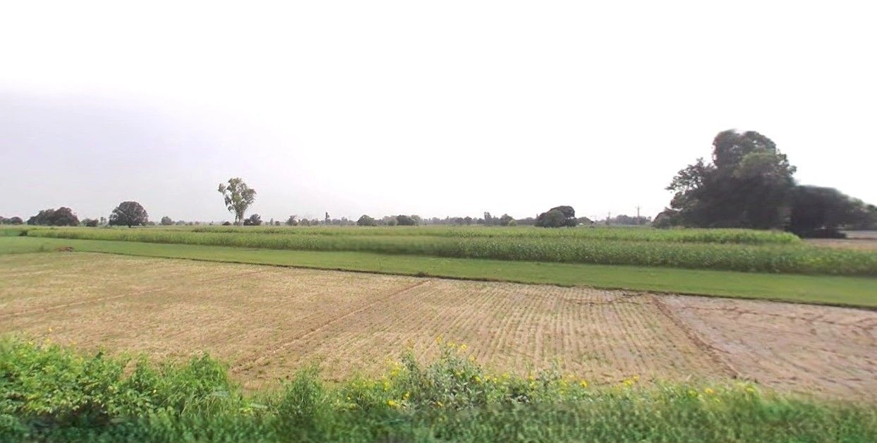 Kaimganj, Uttar Pradesh 209502, India