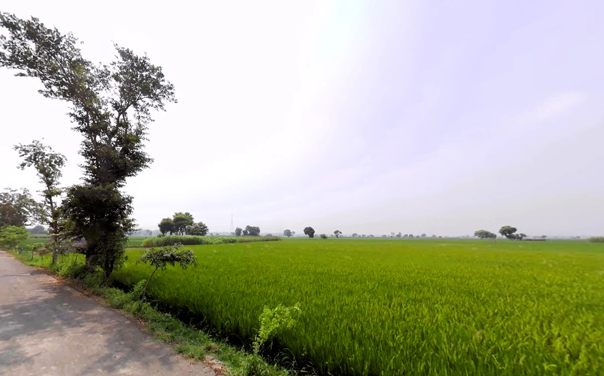 Rajana, Haryana, India preview 2
