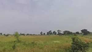 Gangaldoh - to - Malegaon,6.2 KMs, Gangaldoh Village, Maharashtra 441302, India preview 3