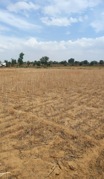 Anupshahar, Uttar Pradesh 203390, India