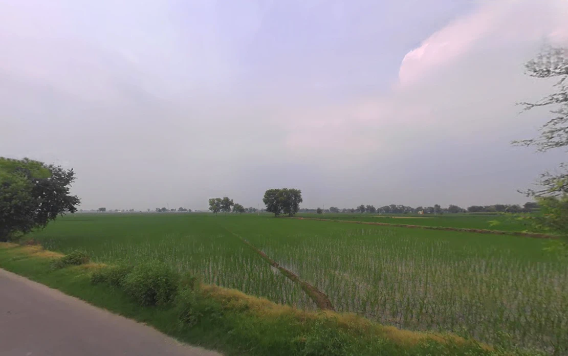 Bighar, Haryana 125050, India