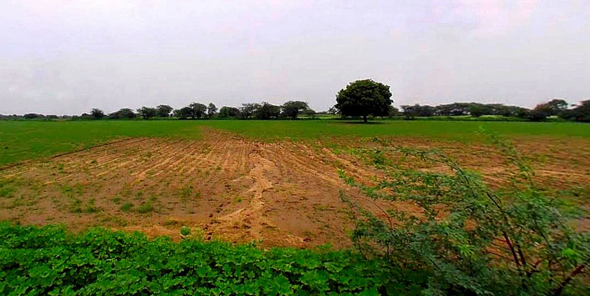 Barsana, Uttar Pradesh 281405, India