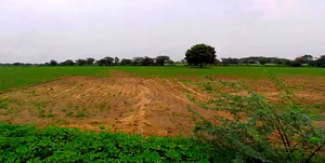 Barsana, Uttar Pradesh 281405, India preview 3