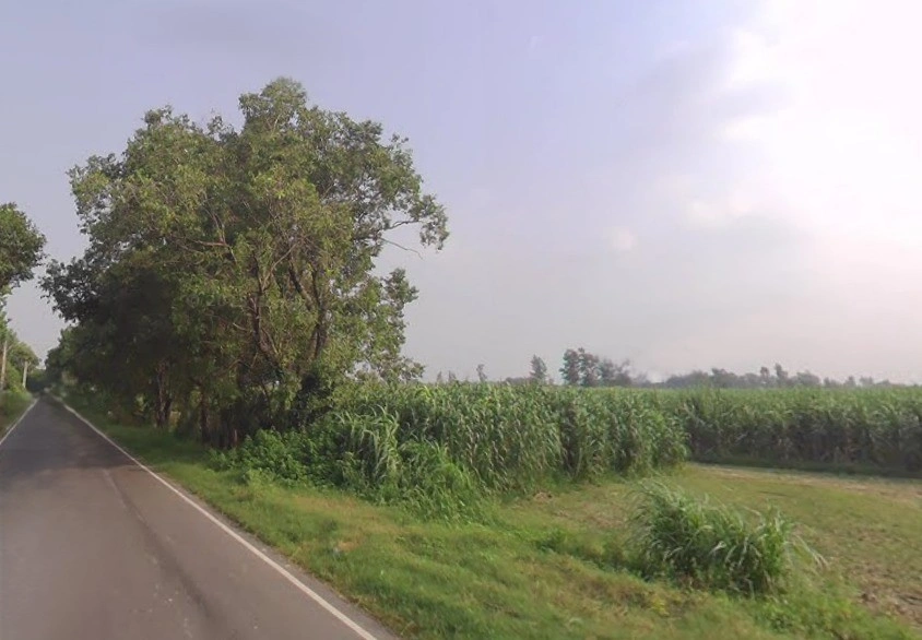 Khirwa Rd, Nangla Tashi, Meerut, Uttar Pradesh, India