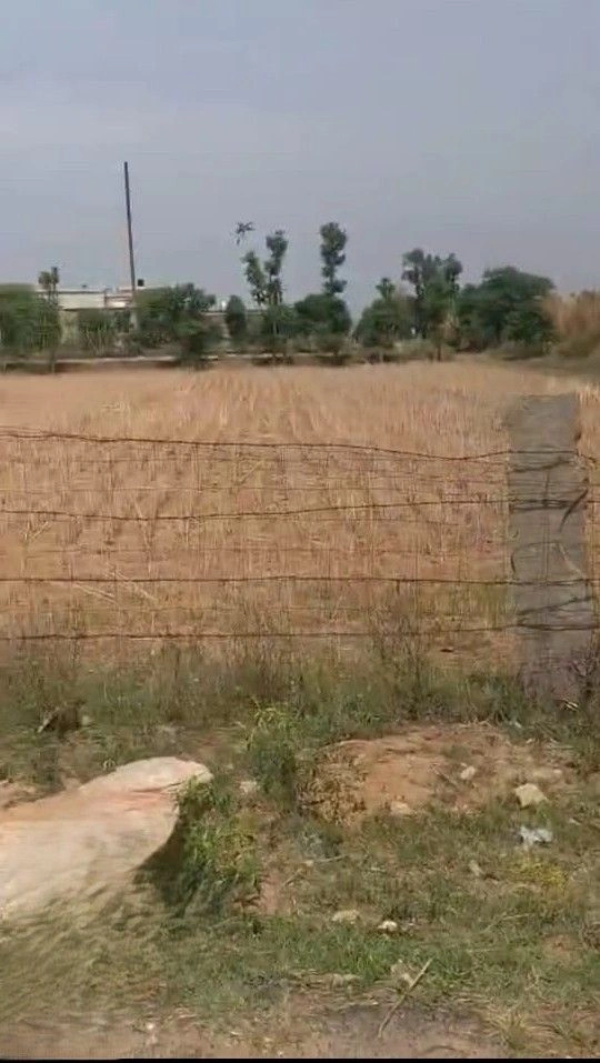 VV56+8J Shekhpur Jatt, Rajasthan, India preview 3