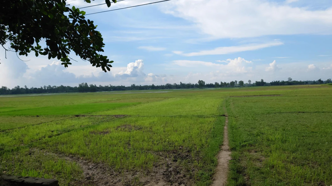 Belpahari, West Bengal 721501, India