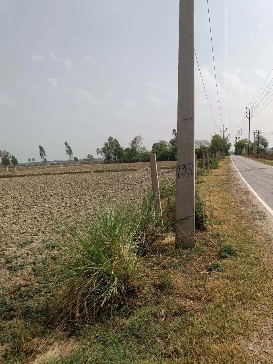 Aou, Rajasthan, India