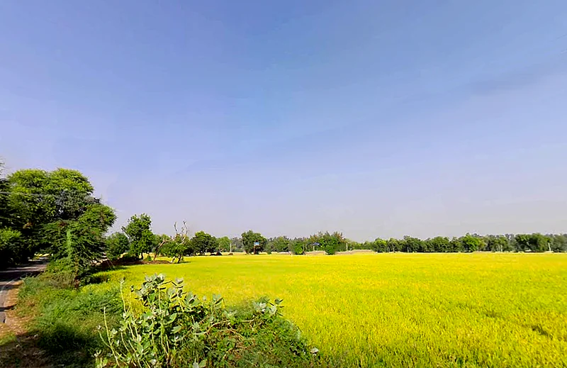 Jiwan Nagar, Haryana 125075, India preview 2