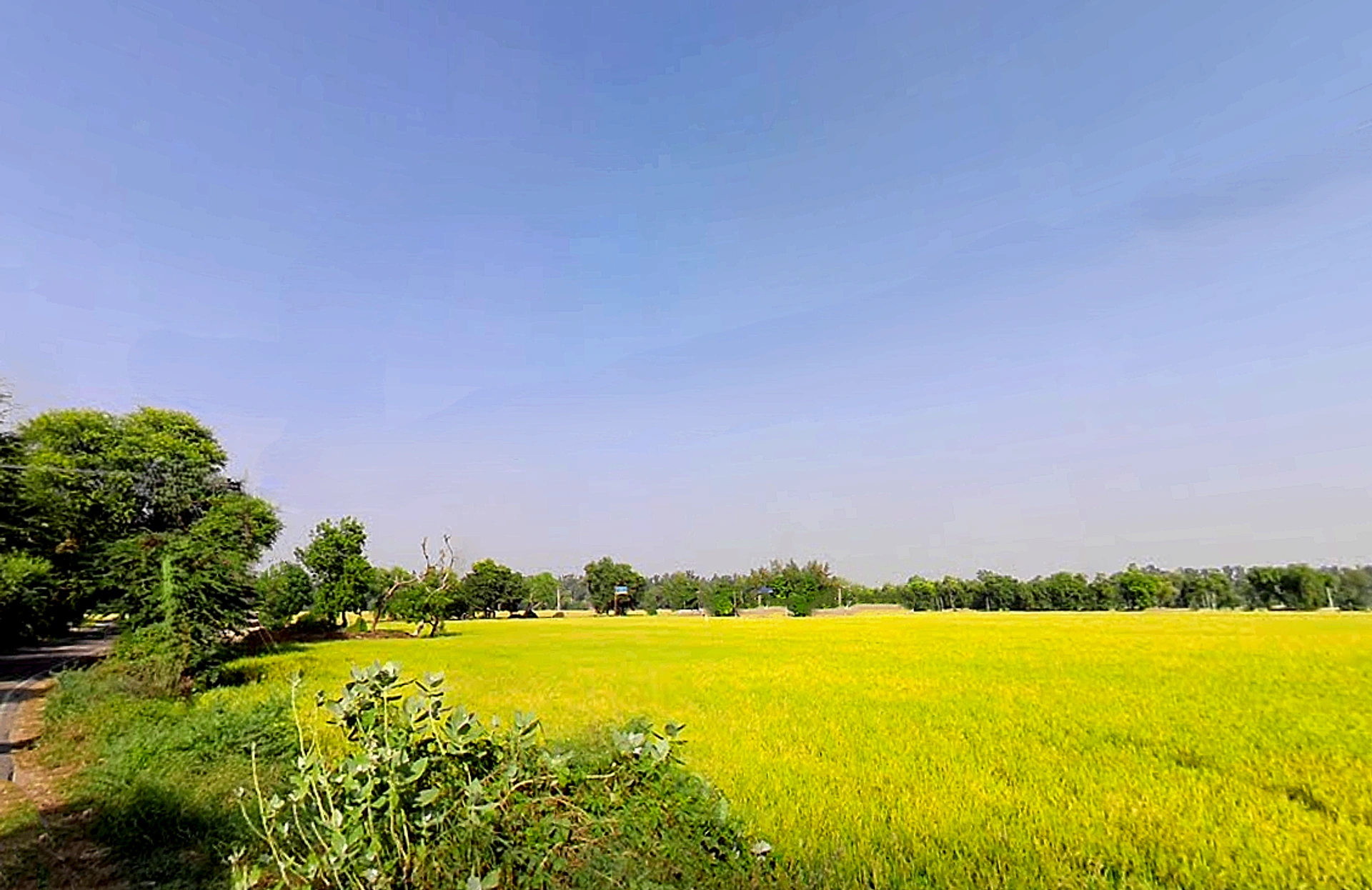 Jiwan Nagar, Haryana 125075, India