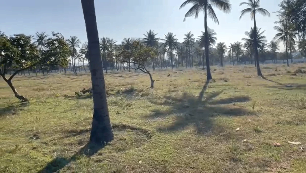 6PGG+QP Boodihal, Karnataka, India