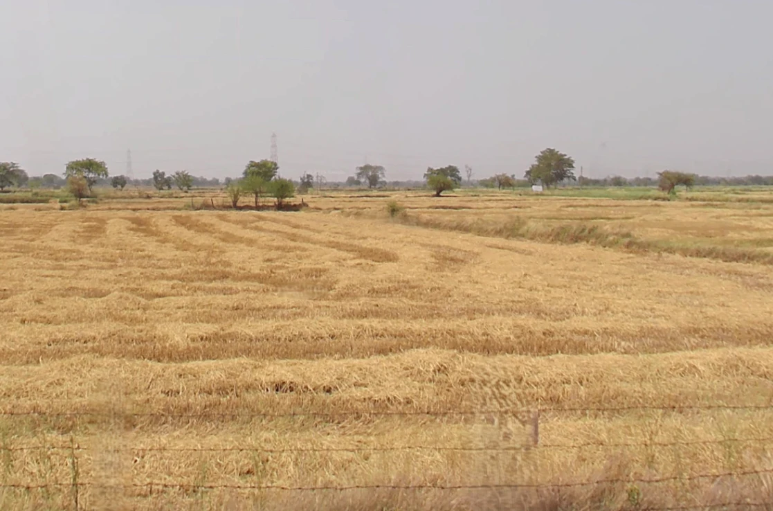 Gudguda, Chhattisgarh, India