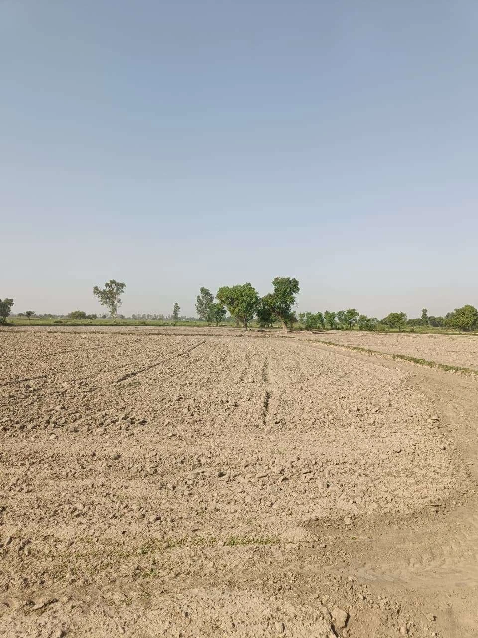 Gauhari, Uttar Pradesh 281401, India preview 3