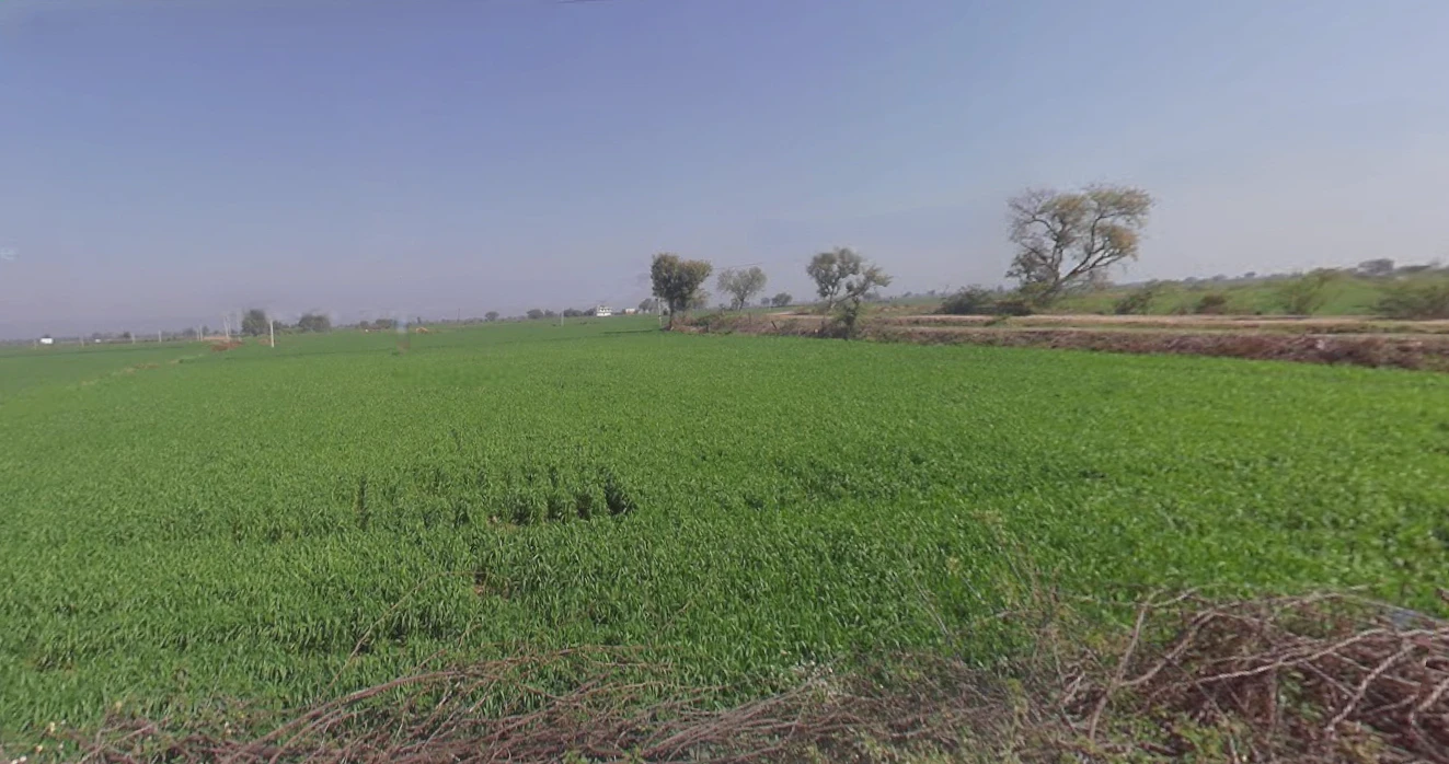 Beebanwa, Rajasthan 323001, India