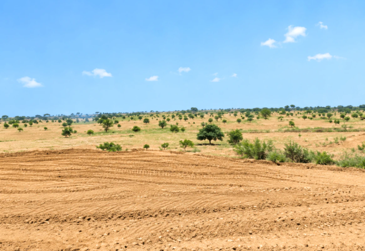 Suratgarh, Sri Ganganagar, Rajasthan 335804, India
