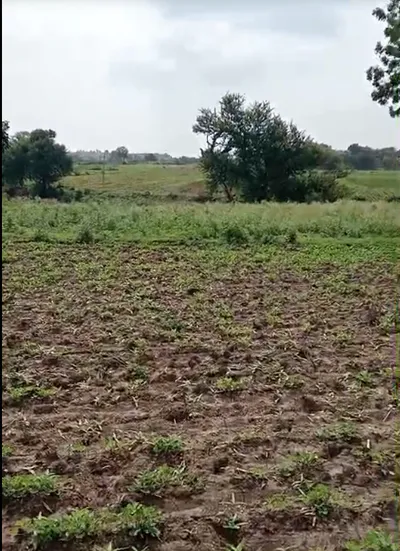 Jhajra, Dehradun, Uttarakhand 248015, India preview 2
