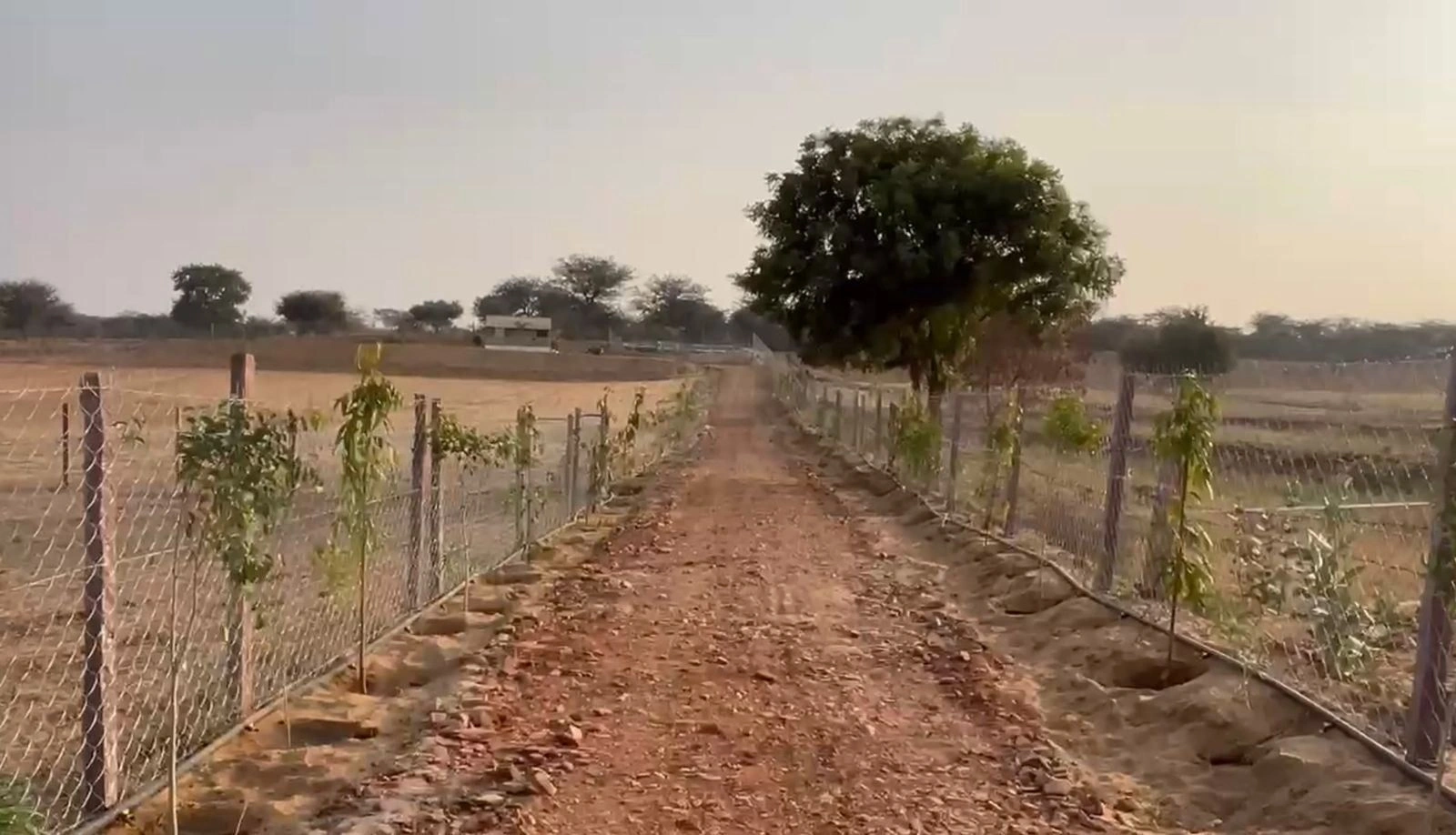 HF56+F8R, Thanwala, Rajasthan 305026, India