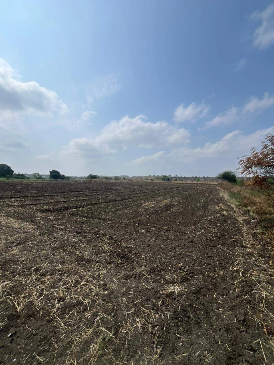 Bheda, Katni, Madhya Pradesh 483440, India