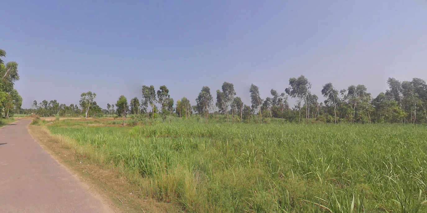 Hasanpur, Uttar Pradesh 244241, India