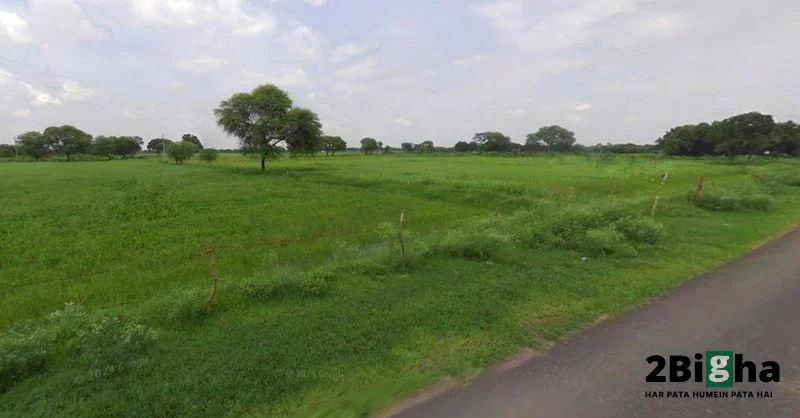 Chhatarpur, Madhya Pradesh 471001, India preview 3