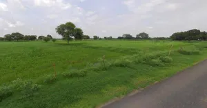 Chhatarpur, Madhya Pradesh 471001, India preview 3