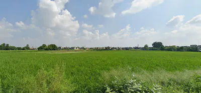 Bahadarke, Punjab 141008, India preview 2