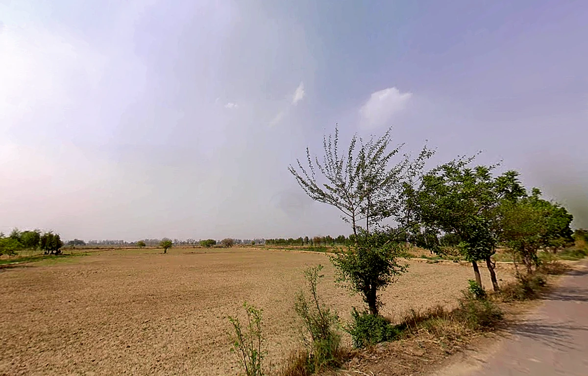 Buwana, Haryana 126114, India
