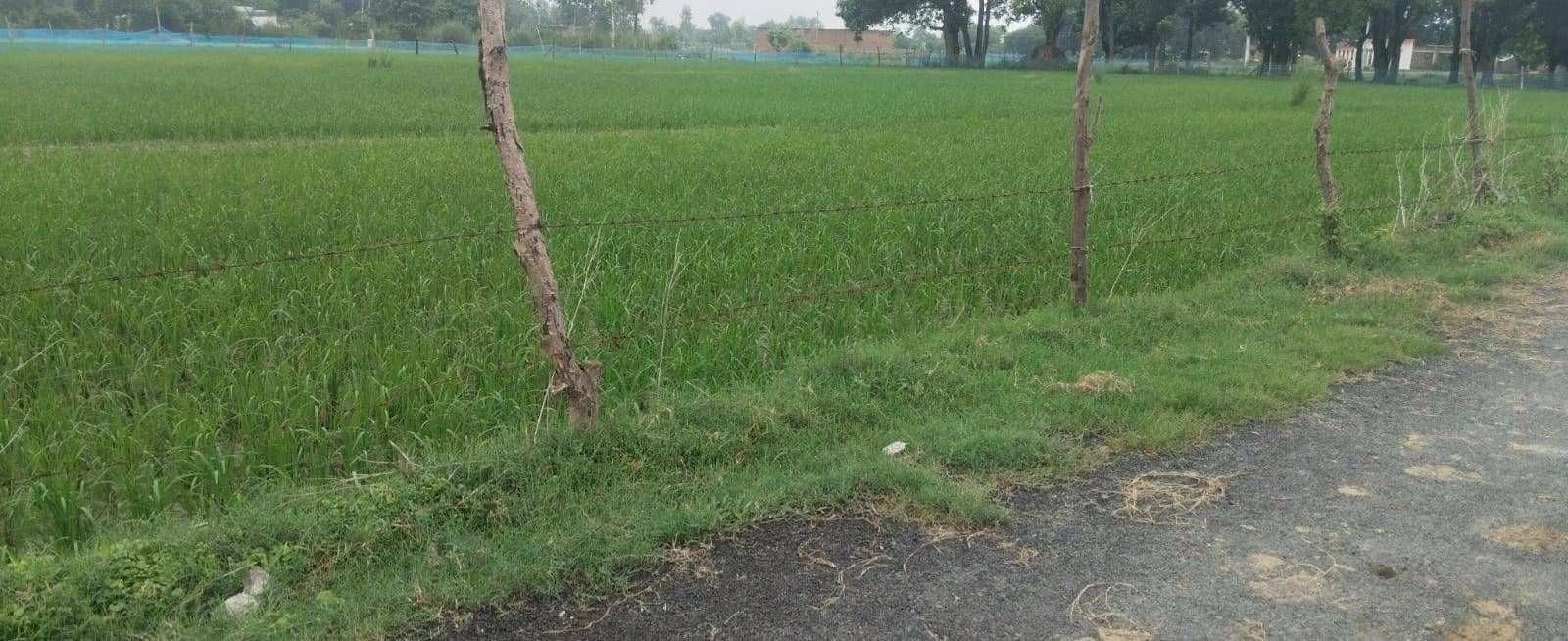R5HX+F6 Manjha Kala, Ayodhya, Uttar Pradesh, India