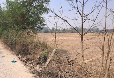 Barnagar, Madhya Pradesh 456771, India preview 3
