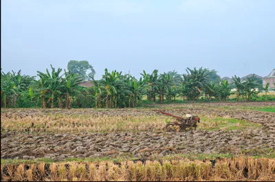 Jamgaon, Chhattisgarh 493661, India preview 2