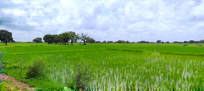 Khatoo, Rajasthan 332602, India preview 3