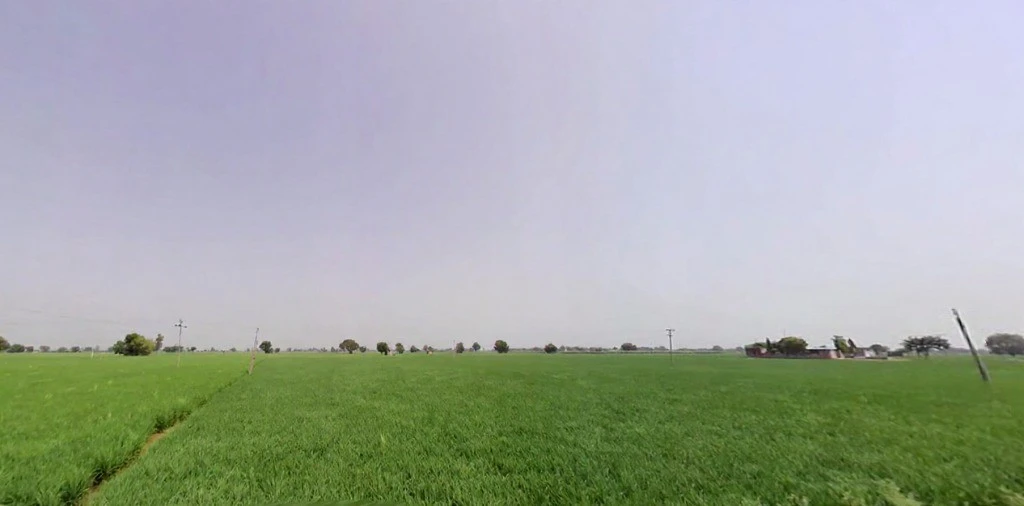 Dehra, Haryana, India