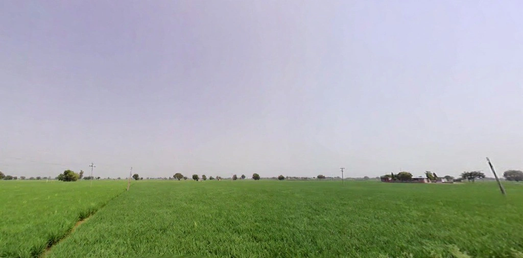 Dehra, Haryana, India