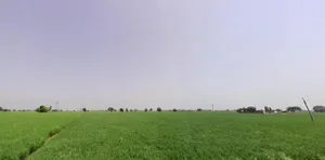 Dehra, Haryana, India preview 3