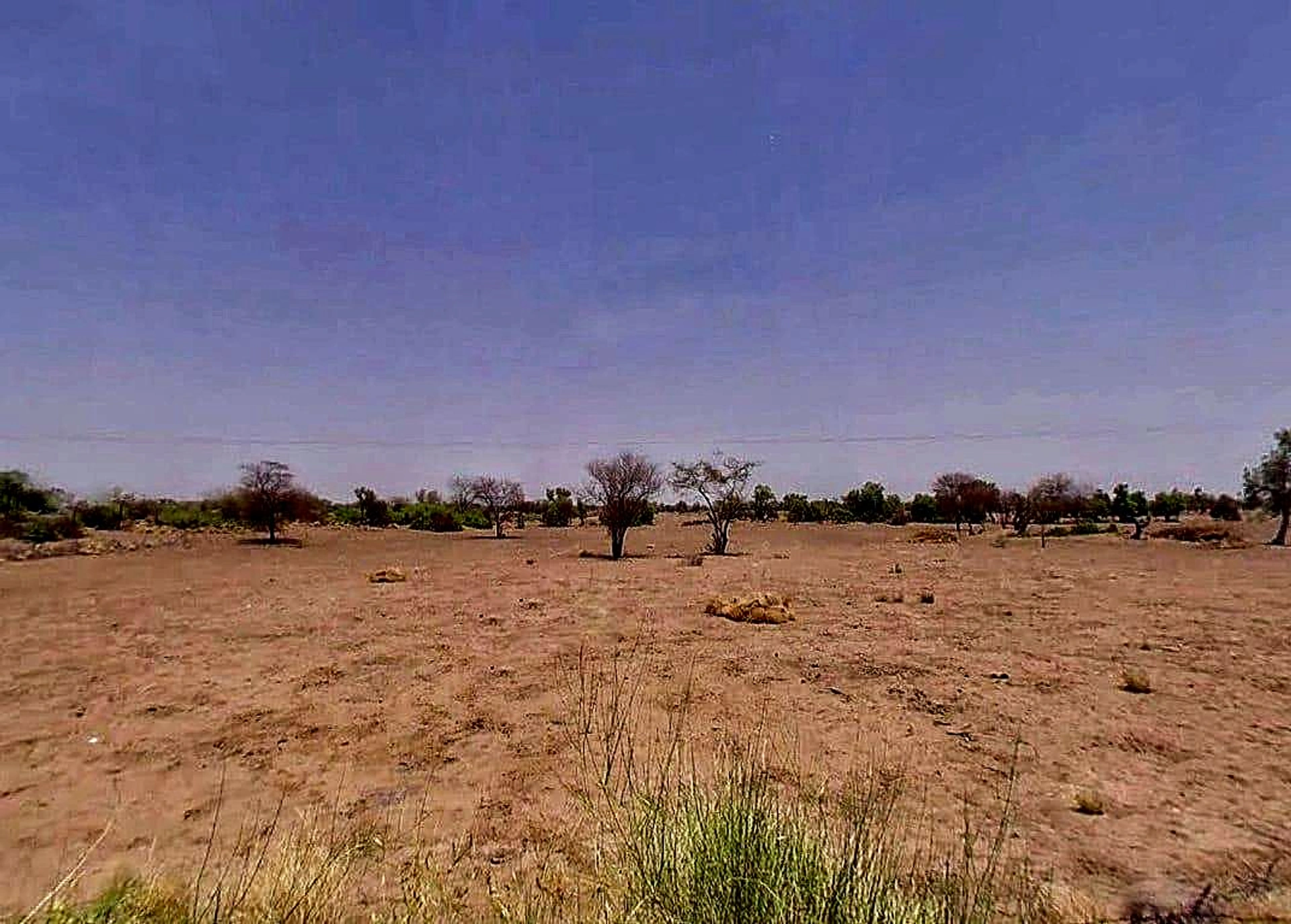Lambra, Rajasthan, India