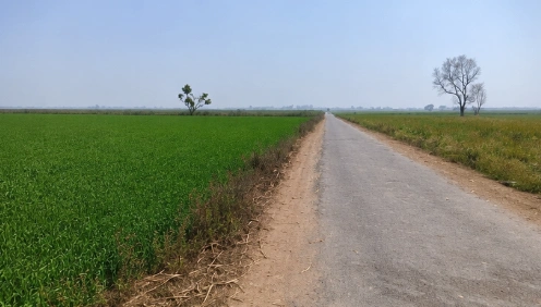 Nighasan, Lakhimpur Kheri, Uttar Pradesh 262903, India