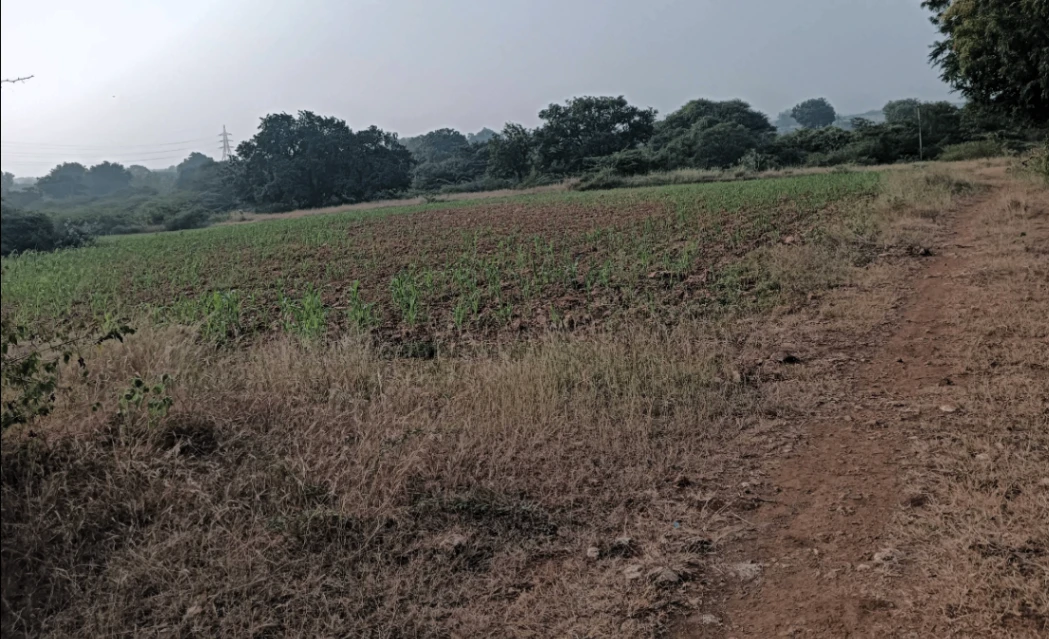 Hiriyur, Karnataka, India