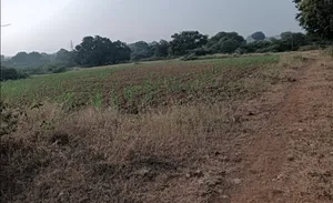 Hiriyur, Karnataka, India preview 2