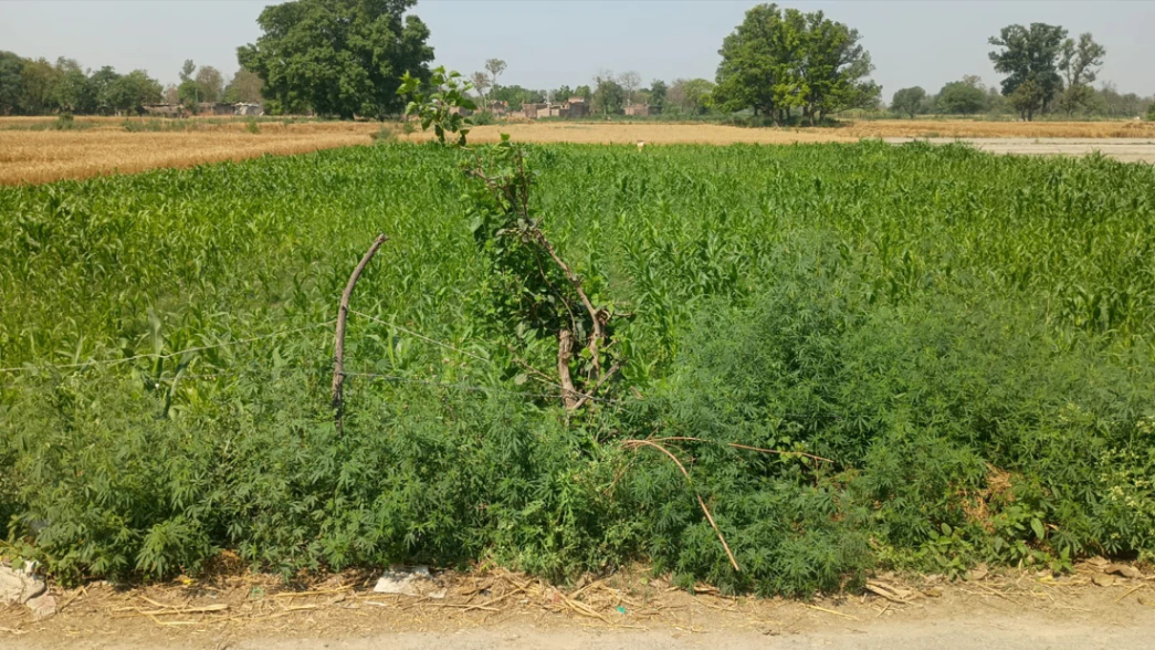 Kharagpur, West Bengal, India