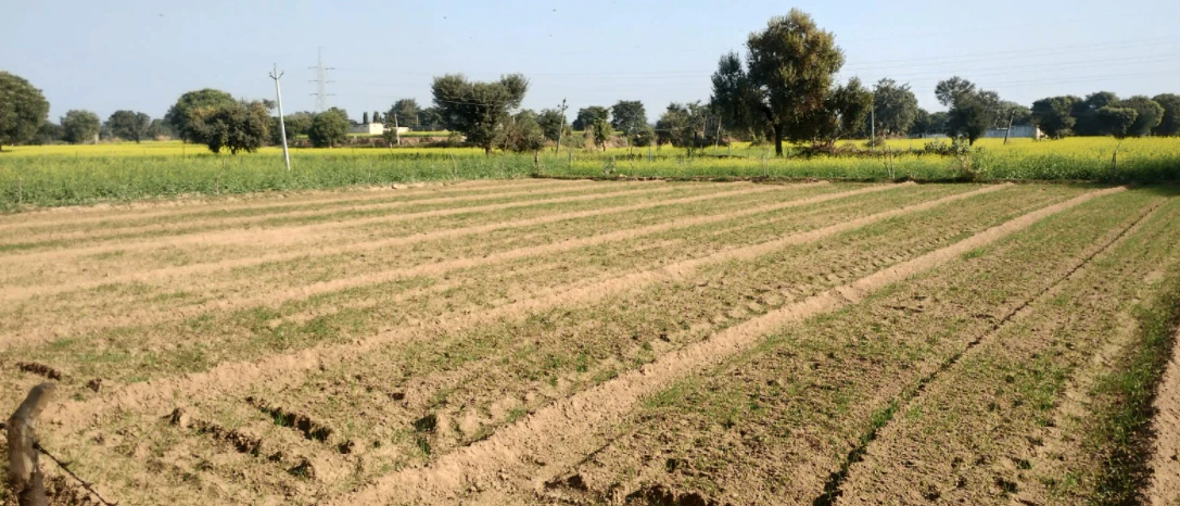 Chandigarh, India