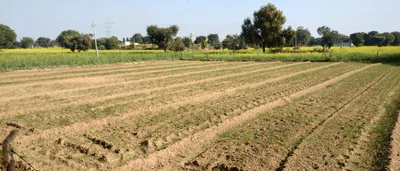 Chandigarh, India preview 2