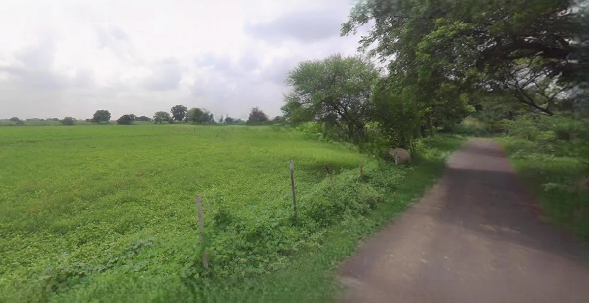 Rewari, Haryana 123401, India