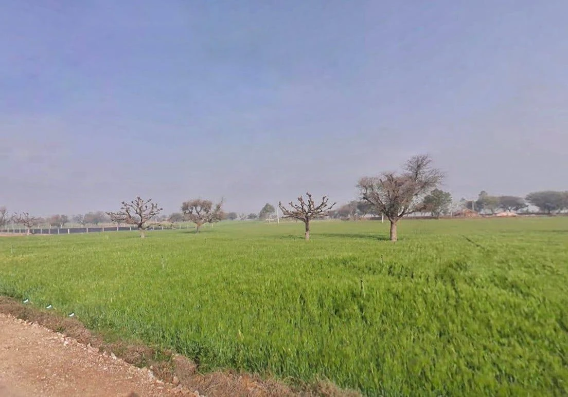 Lamiyan, Rajasthan, India