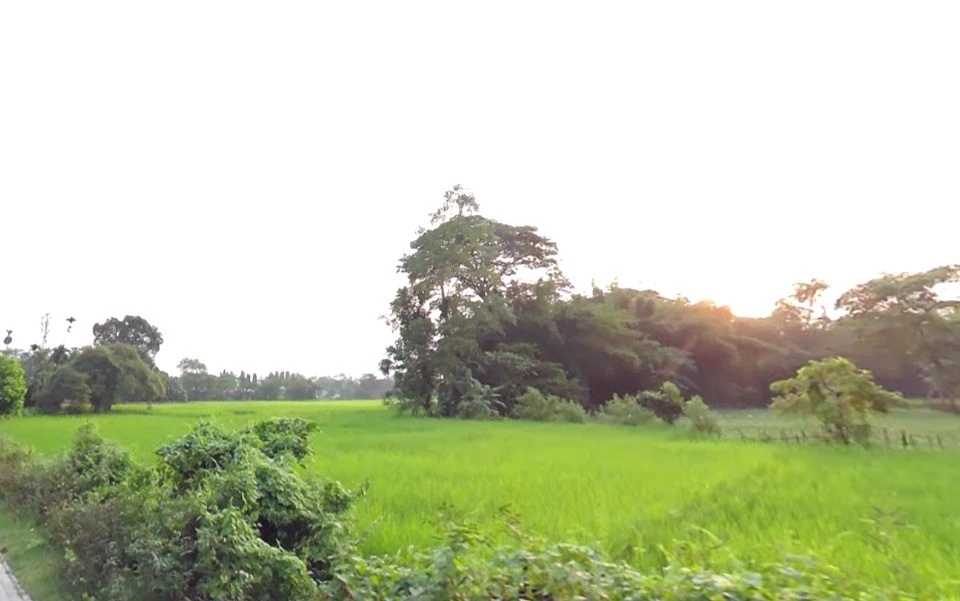 Shajapur, Madhya Pradesh 465001, India
