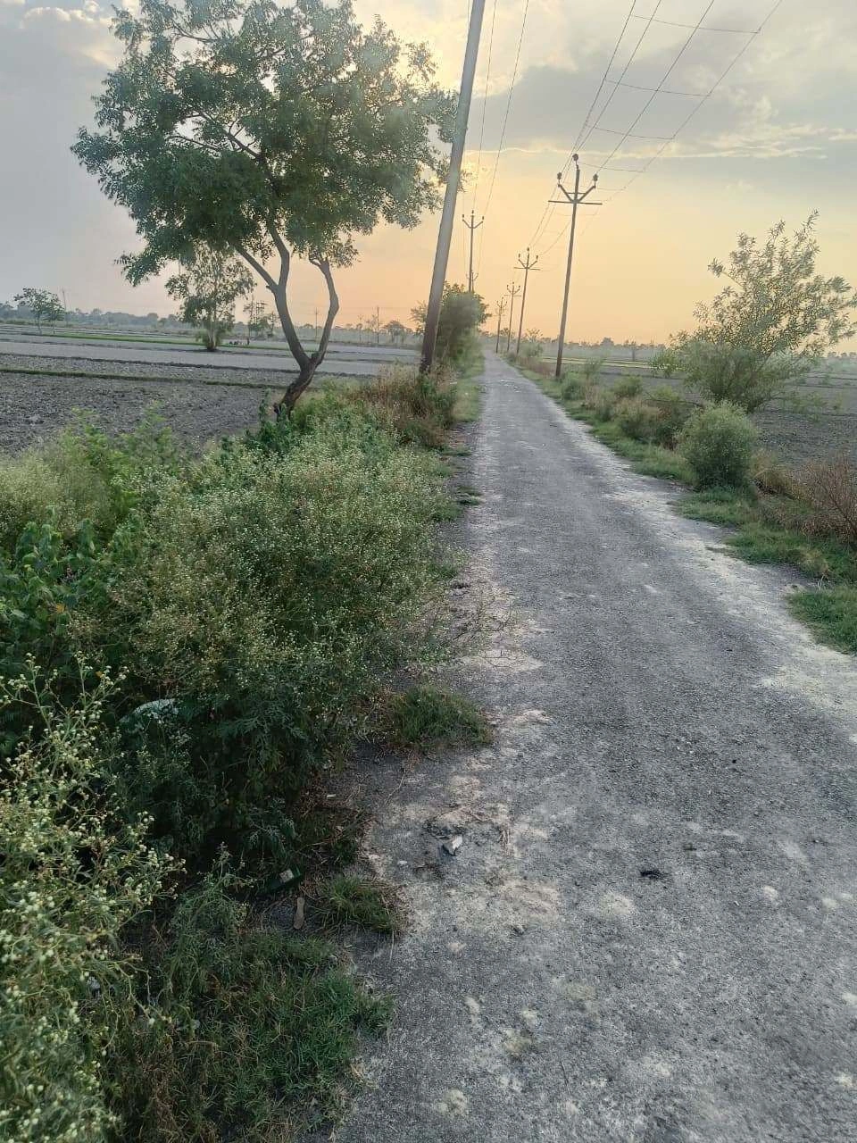 Aou, Rajasthan, India