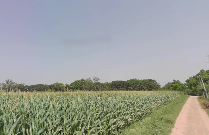 Bahadurgarh, Uttar Pradesh 245208, India