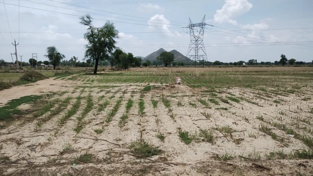 Beejwa, Rajasthan, India