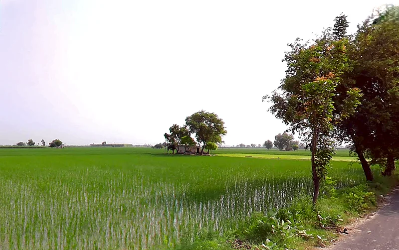 Kurlan, Haryana 132046, India preview 3