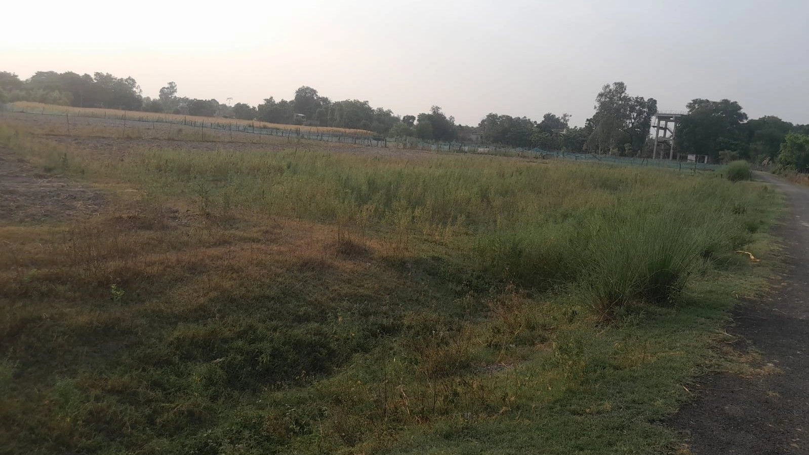 P653+73 Sukkha Pur Etaura, Uttar Pradesh, India
