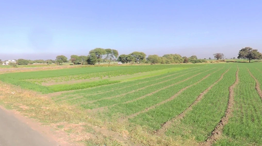 Ant, Madhya Pradesh 455001, India